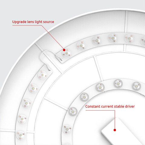 Ceiling Light with Flush Mount LED Design