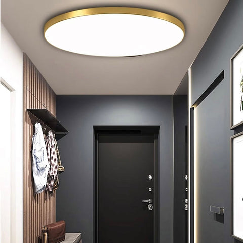 Ceiling Light with Flush Mount LED Design