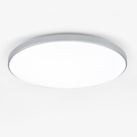 Ceiling Light with Flush Mount LED Design