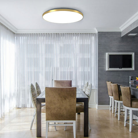 Ceiling Light with Flush Mount LED Design