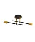 Two-Light Industrial Ceiling Fixture with Metal Arms — product view