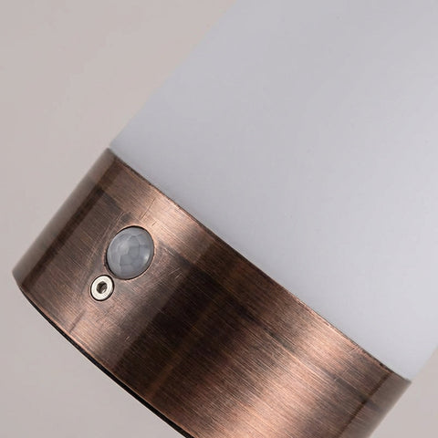 Motion Sensor LED Table Lamp with Battery Power for Convenient Indoor Lighting