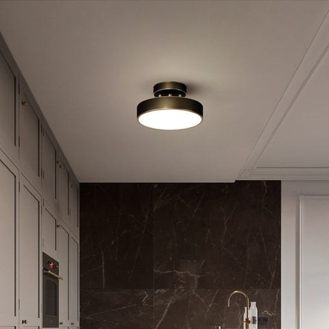 Compact LED Flush Mount Ceiling Light for Home Hallways and Dining Areas