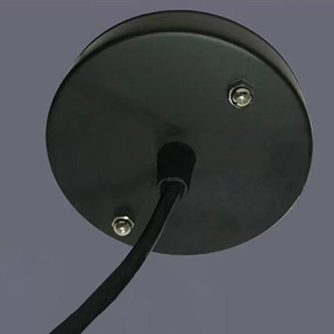 Bottle-Shaped Resin Pendant Light with Industrial Fixture