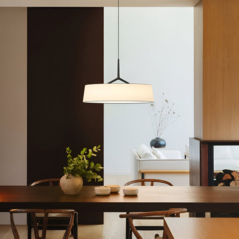 Pendant Light with Minimalist Metal Shade