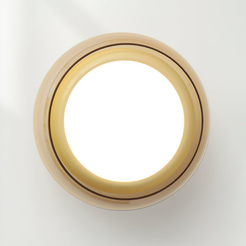 Vintage Glass LED Ceiling Light for Bedroom and Dining Room Lighting