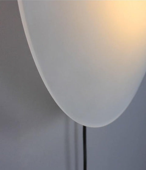 LED Disc Wall Lamp with Frosted Glass Shade and Pull Switch Options