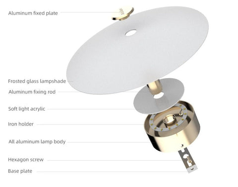 LED Disc Wall Lamp with Frosted Glass Shade and Pull Switch Options