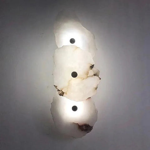 Decorative Organic Shape LED Wall Sconce Lighting