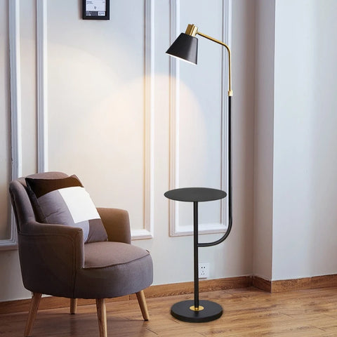 Adjustable Reading Floor Lamp with Angled Reading Shade