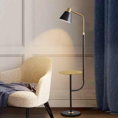 Adjustable Reading Floor Lamp with Angled Reading Shade