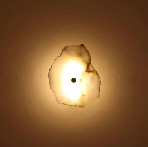 Decorative Organic Shape LED Wall Sconce Lighting