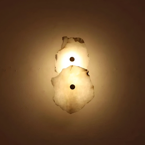 Decorative Organic Shape LED Wall Sconce Lighting