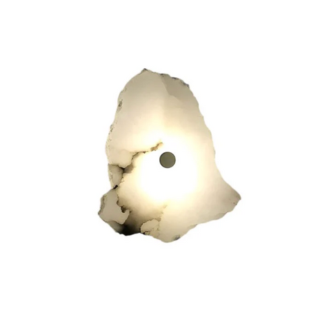 Decorative Organic Shape LED Wall Sconce Lighting