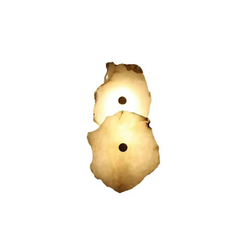 Decorative Organic Shape LED Wall Sconce Lighting
