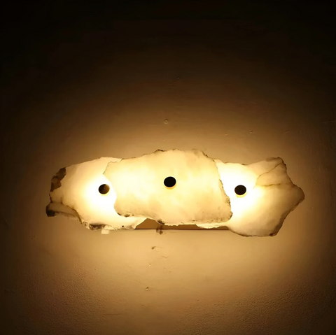 Decorative Organic Shape LED Wall Sconce Lighting