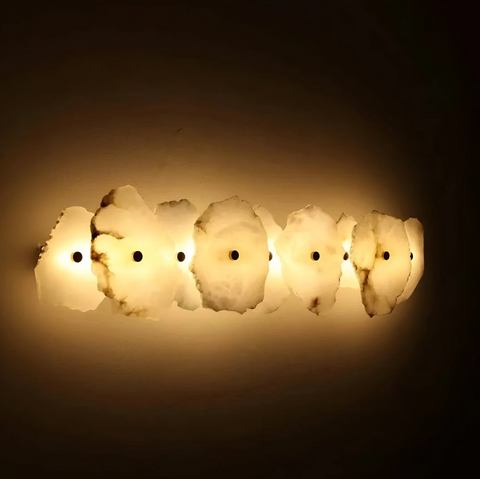 Decorative Organic Shape LED Wall Sconce Lighting
