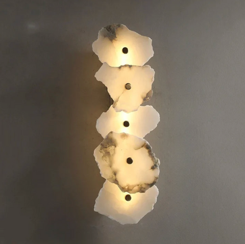Decorative Organic Shape LED Wall Sconce Lighting