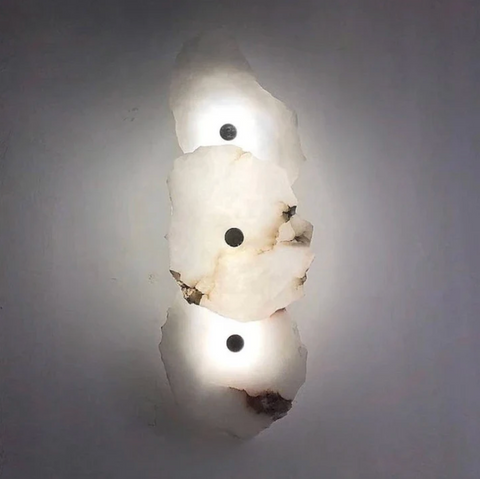 Decorative Organic Shape LED Wall Sconce Lighting