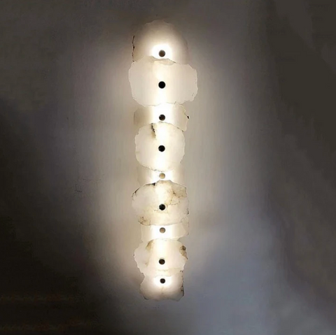 Decorative Organic Shape LED Wall Sconce Lighting
