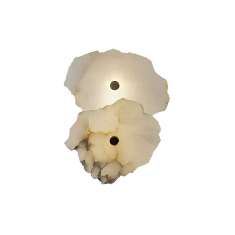 Decorative Organic Shape LED Wall Sconce Lighting