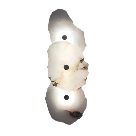 Decorative Organic Shape LED Wall Sconce Lighting