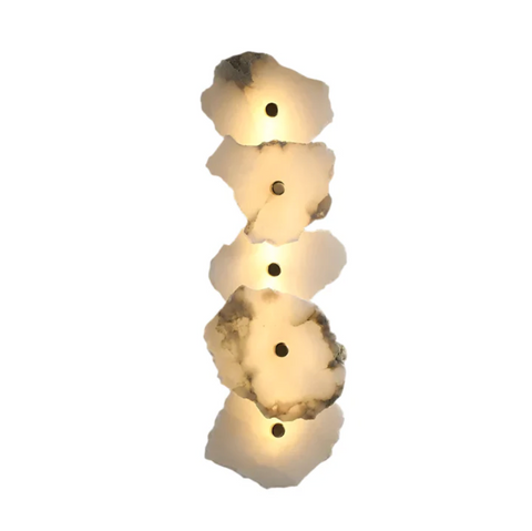 Decorative Organic Shape LED Wall Sconce Lighting
