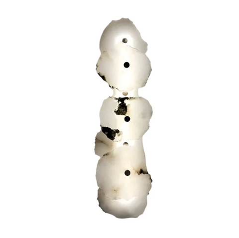 Decorative Organic Shape LED Wall Sconce Lighting