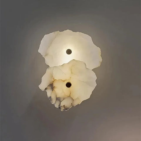 Decorative Organic Shape LED Wall Sconce Lighting