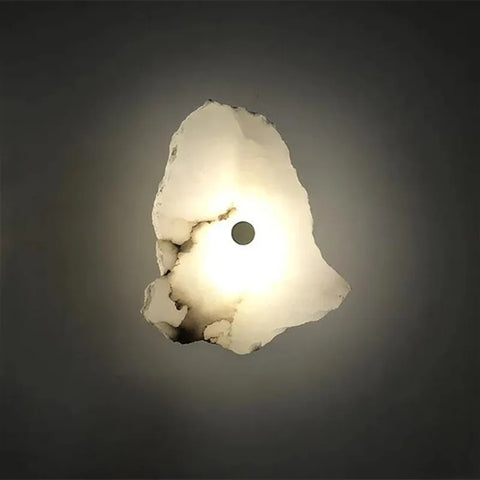 Decorative Organic Shape LED Wall Sconce Lighting