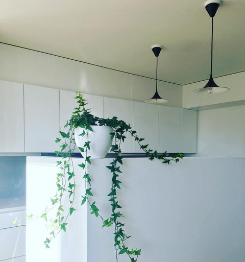 Sculptural Metal Pendant Light for Dining Room and Kitchen Lighting
