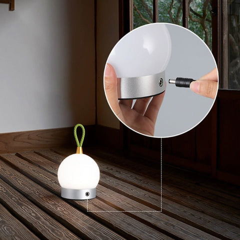 Cordless LED Globe Lamp with Carry Loop, Touch Dimming and USB Charge
