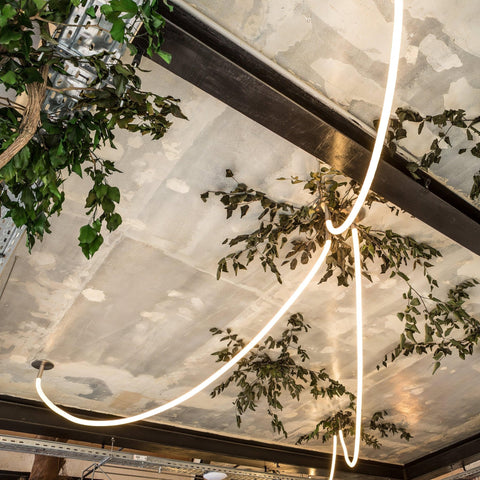 Flexible Curved LED Pendant Light for Commercial and Large Interiors