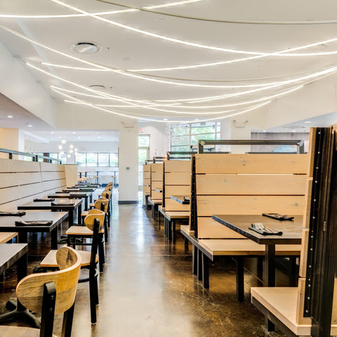 Flexible Curved LED Pendant Light for Commercial and Large Interiors