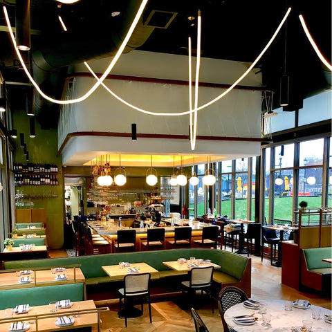 Flexible Curved LED Pendant Light for Commercial and Large Interiors