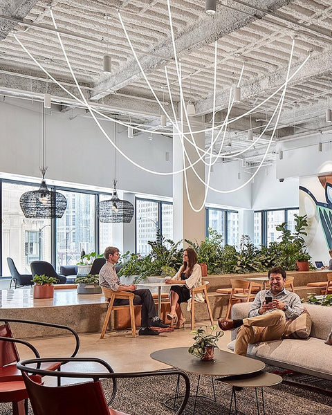 Flexible Curved LED Pendant Light for Commercial and Large Interiors