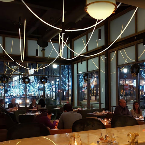 Flexible Curved LED Pendant Light for Commercial and Large Interiors