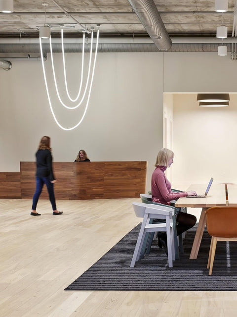 Flexible Curved LED Pendant Light for Commercial and Large Interiors