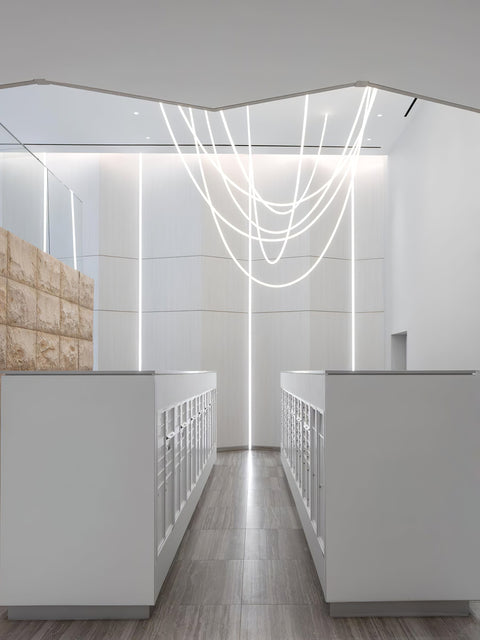 Flexible Curved LED Pendant Light for Commercial and Large Interiors