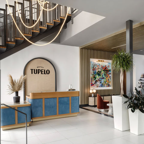Flexible Curved LED Pendant Light for Commercial and Large Interiors