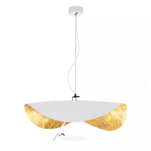 Convertible LED Pendant and Ceiling Light for Living and Dining Rooms