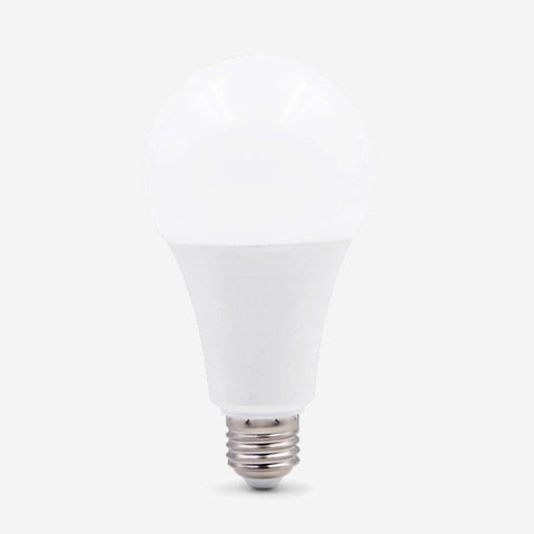E27 LED Globe Bulb for Ceiling Lamps and Pendant Light Fixtures