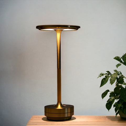 Cordless Rechargeable LED Table Lamp with Touch Dimming and Three Light Modes