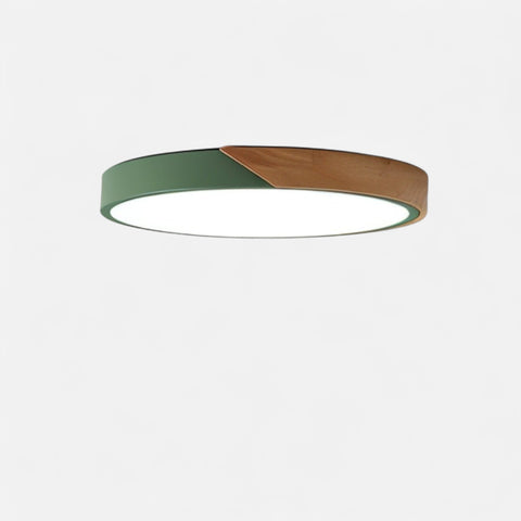 Modern LED Ceiling Lamp