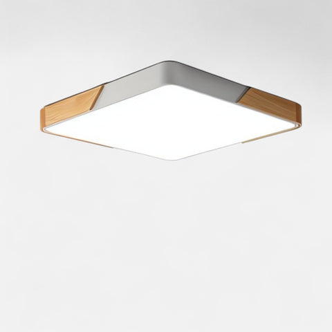 Modern LED Ceiling Lamp
