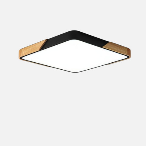 Modern LED Ceiling Lamp