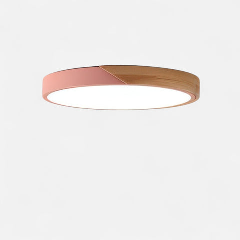 Modern LED Ceiling Lamp