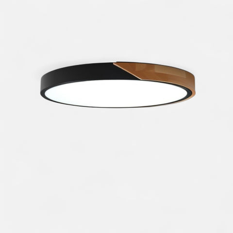 Modern LED Ceiling Lamp