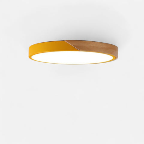 Modern LED Ceiling Lamp