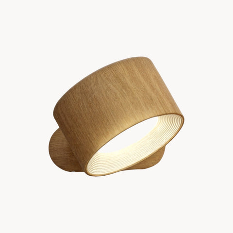 Rechargeable 360° Adjustable LED Wall Light with USB Charging